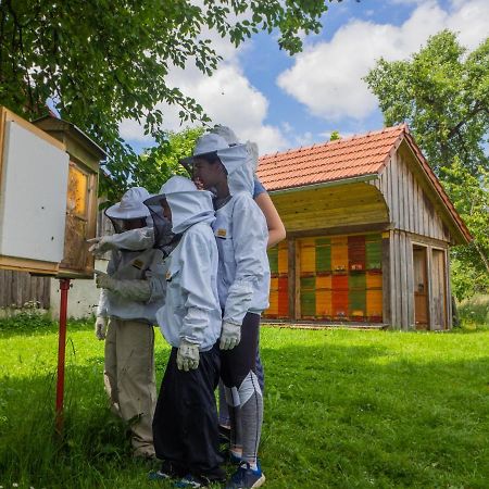 Appartamento Beekeeping Kojek Ribnica Esterno foto