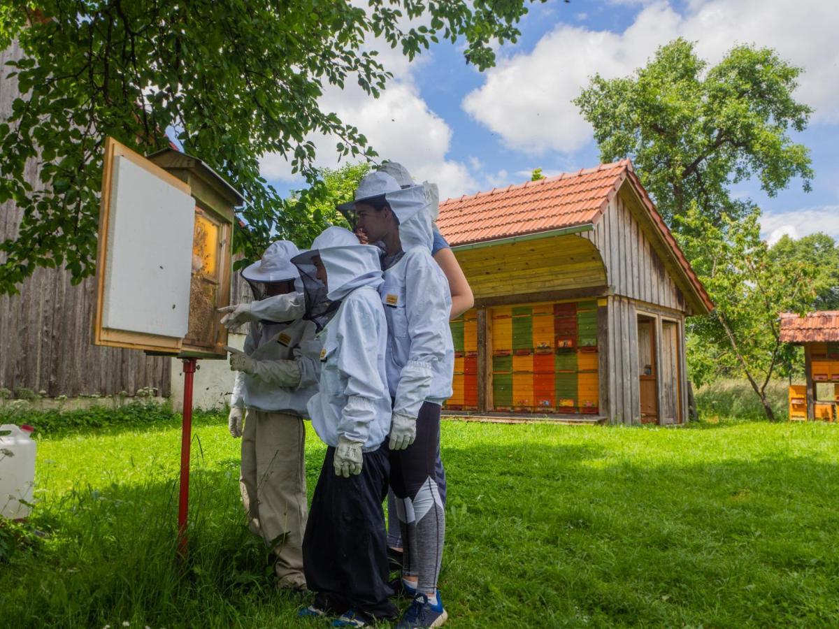 Appartamento Beekeeping Kojek Ribnica Esterno foto