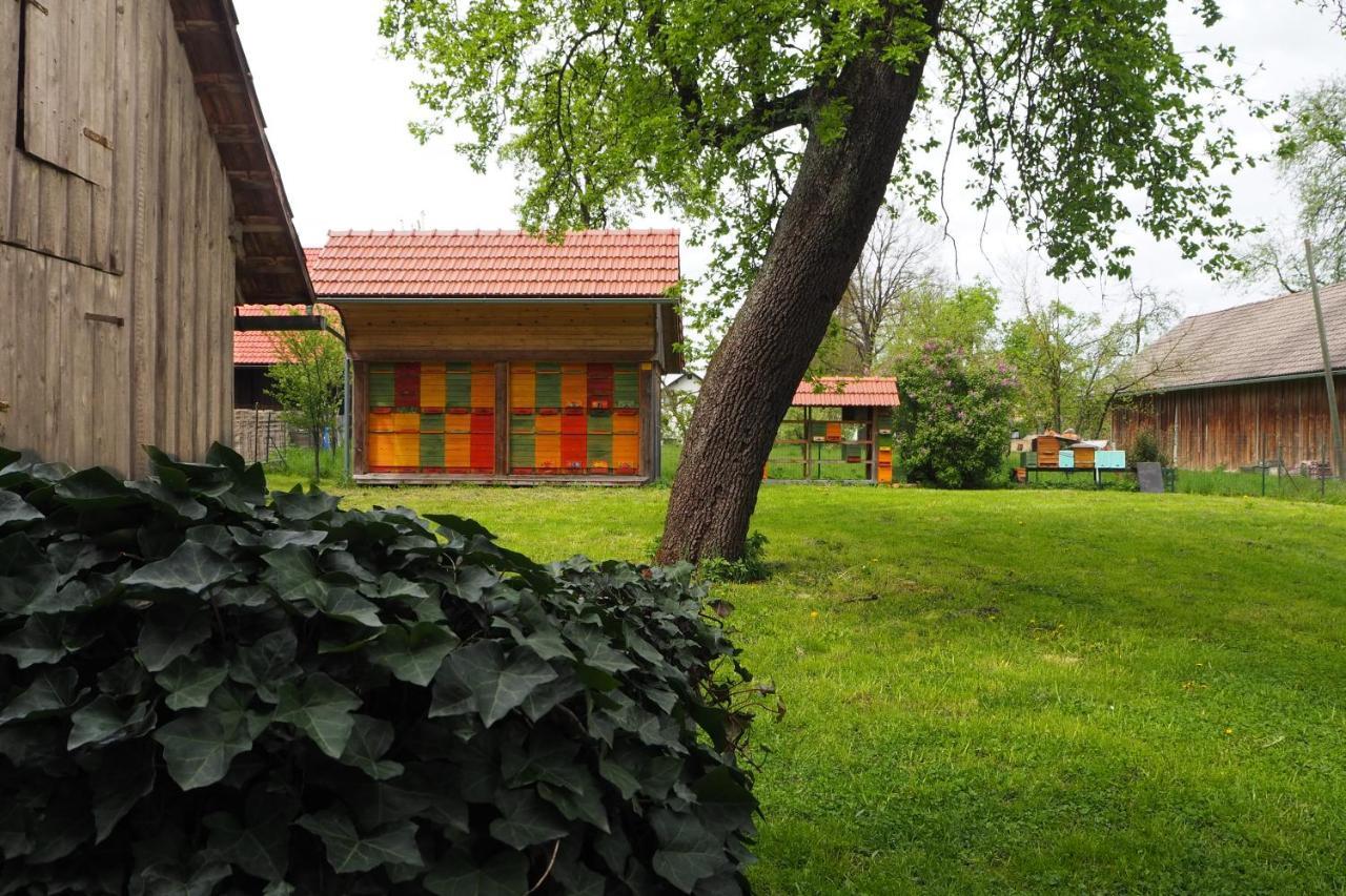 Appartamento Beekeeping Kojek Ribnica Esterno foto
